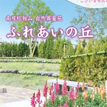 株式会社 奏雲